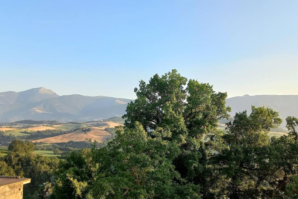 קאלי Pigno, Appartamento In Campagna מראה חיצוני תמונה